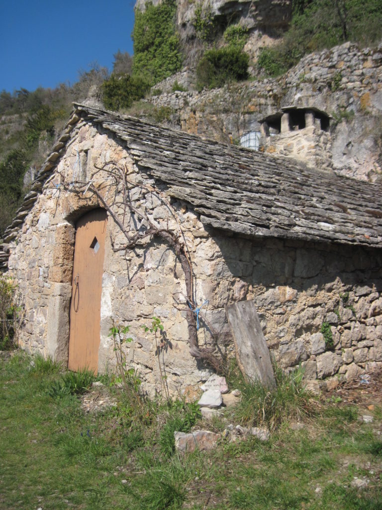 Saint André de Vézines Tarn et Causses