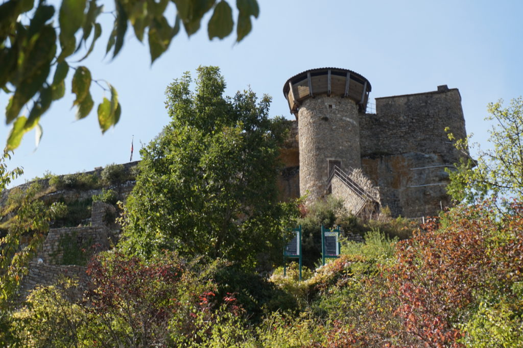 Chateau Peyrelade RST