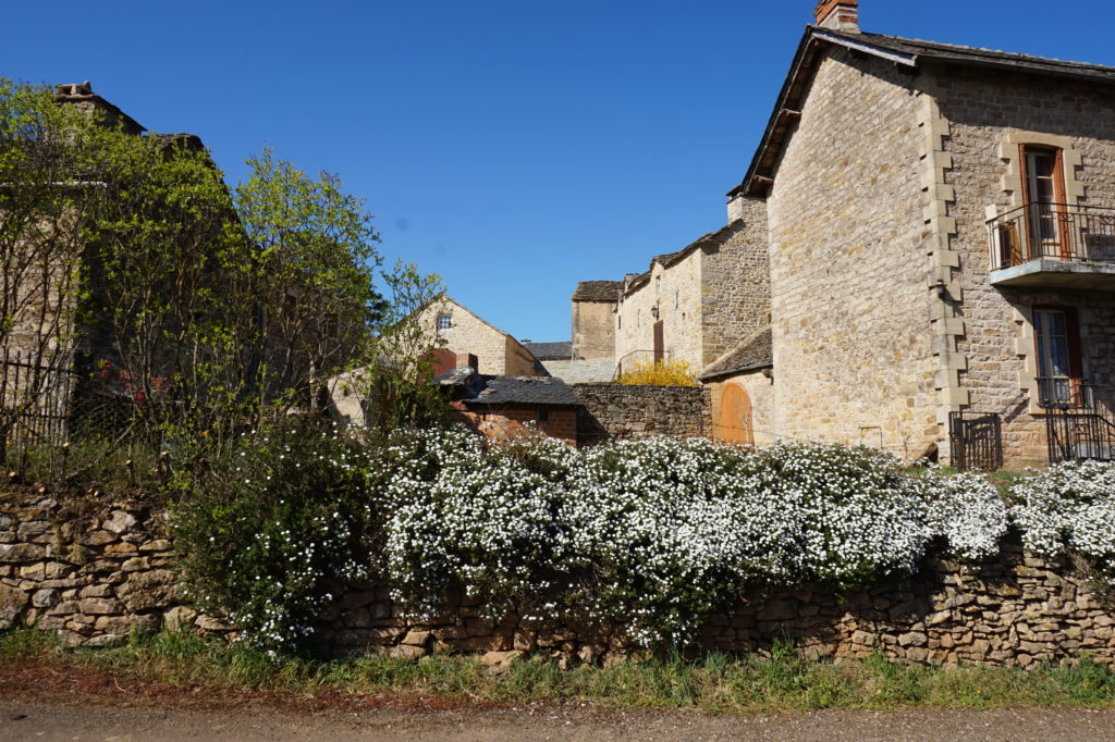 Arrière plan Cornuéjouls Séverac d'Aveyron